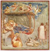 GIOTTO di Bondone Birth of Christ oil painting artist